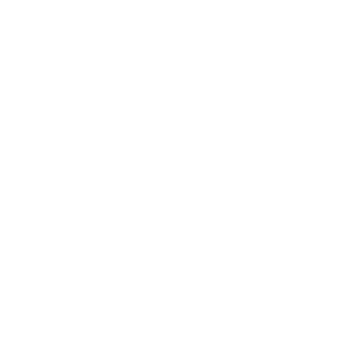 Next Evolution